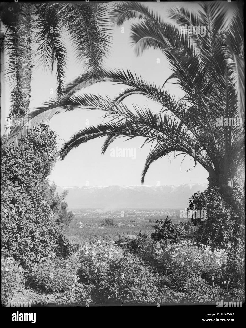 View of Redlands from Smiley Heights, Redlands, ca.1900 (CHS 5585 Stock