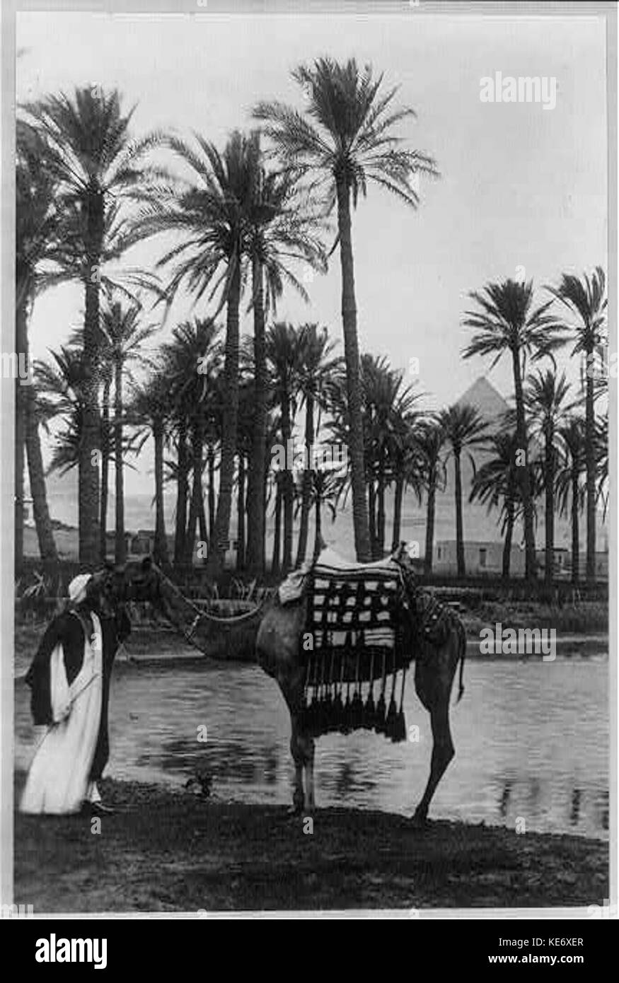 Palm distance Black and White Stock Photos & Images - Alamy