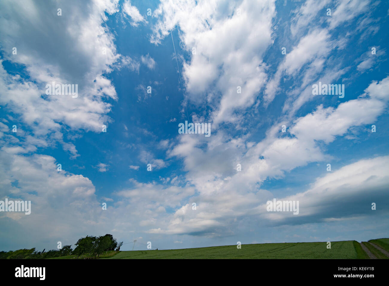 Green field and clear cloudy sky Stock Photo - Alamy