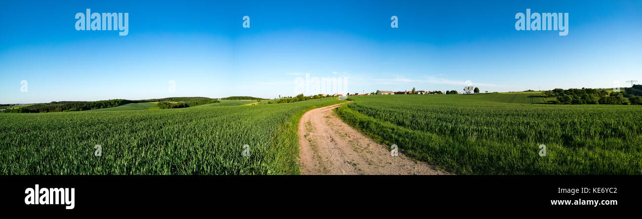 Green field and clear blue sky panorama Stock Photo - Alamy