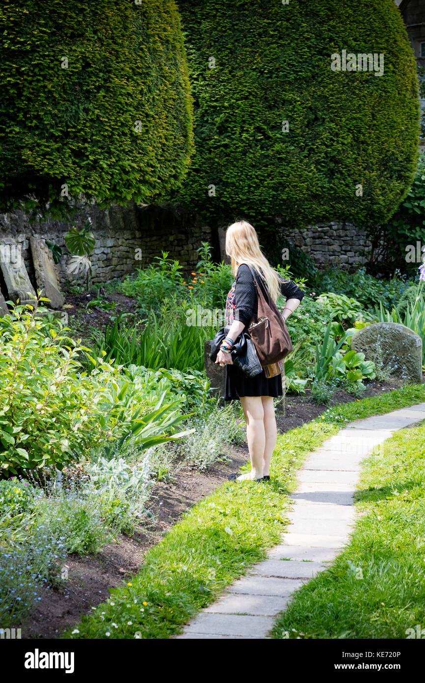 A woman looks at the plants between the Yew Trees in St May's churchyard, Painswick, Gloucestershire Stock Photo