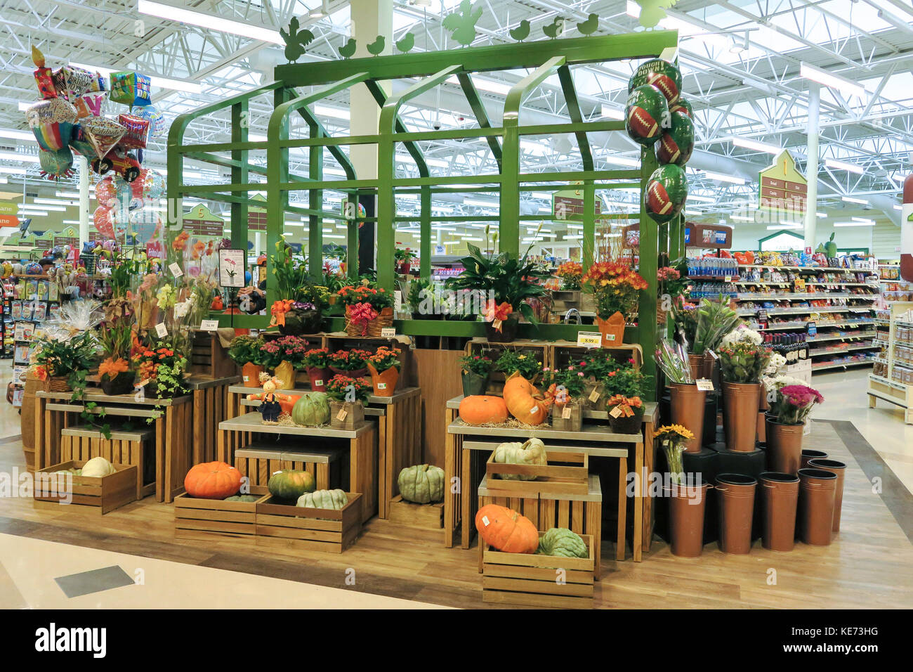 Lowes Foods Market, Pawleys Island, South Carolina, USA Stock Photo