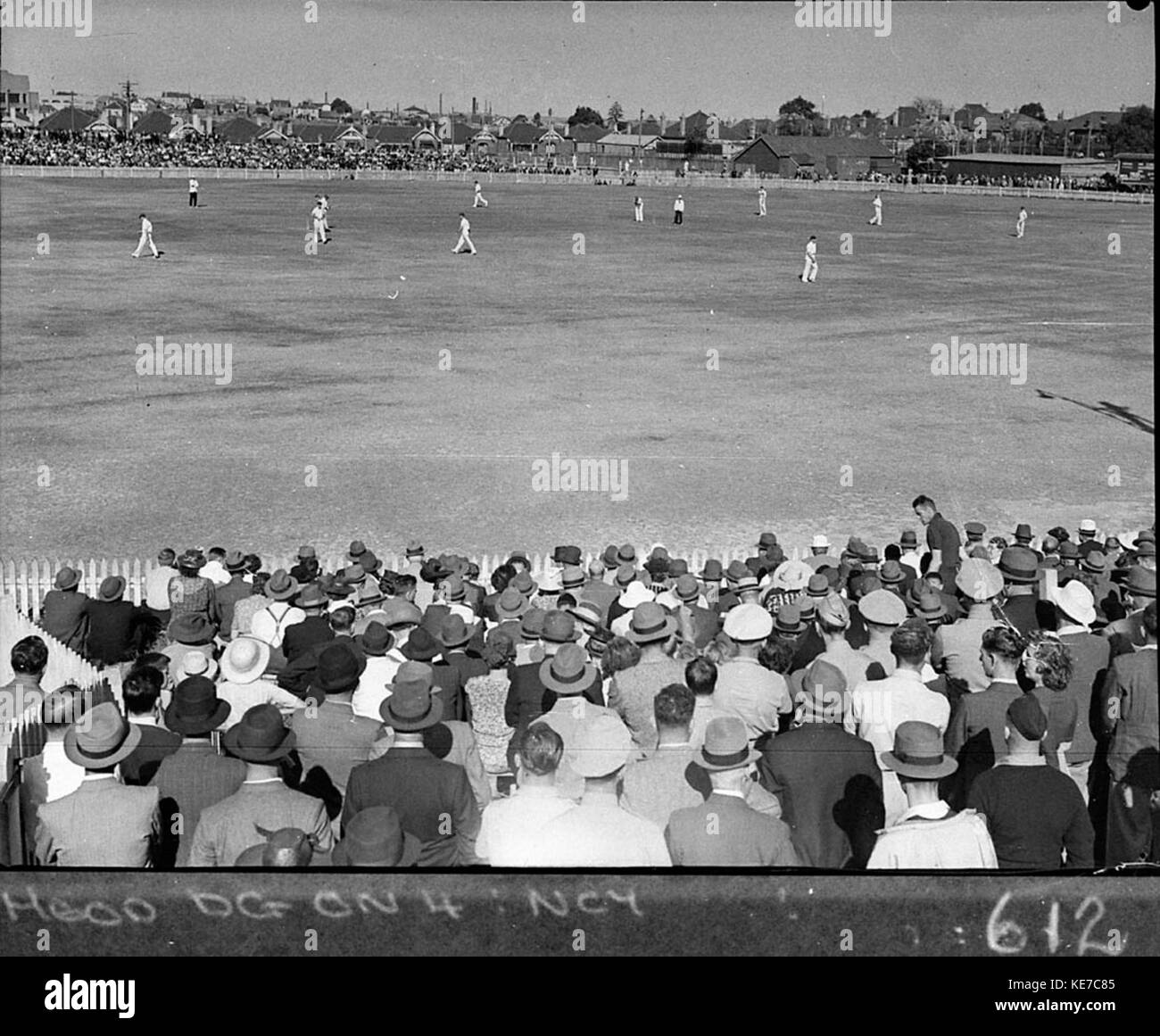 13077 Record crowd at cricket at Marrickville Oval Stock Photo Alamy