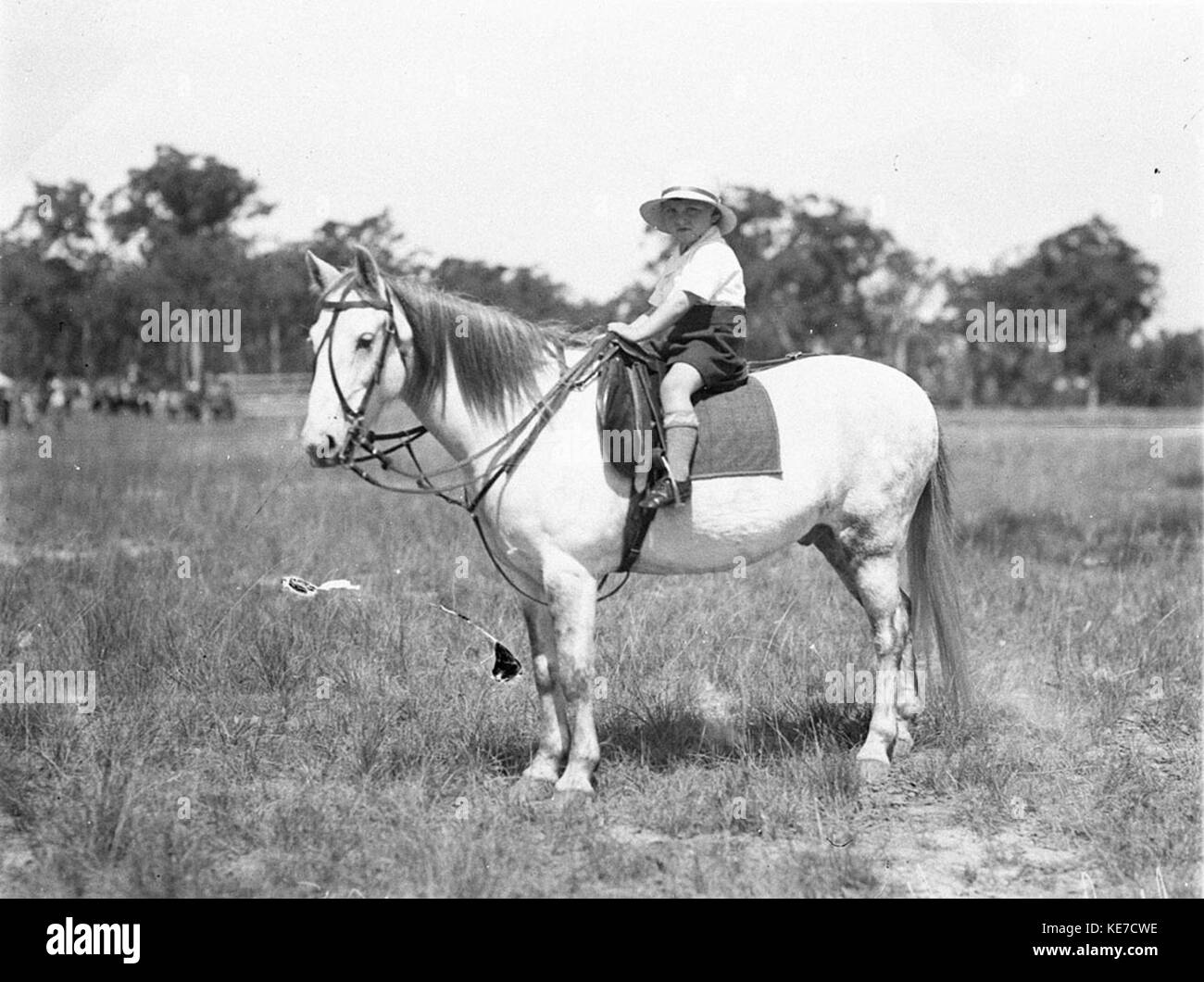 6591 Small boy on his pony Stock Photo - Alamy