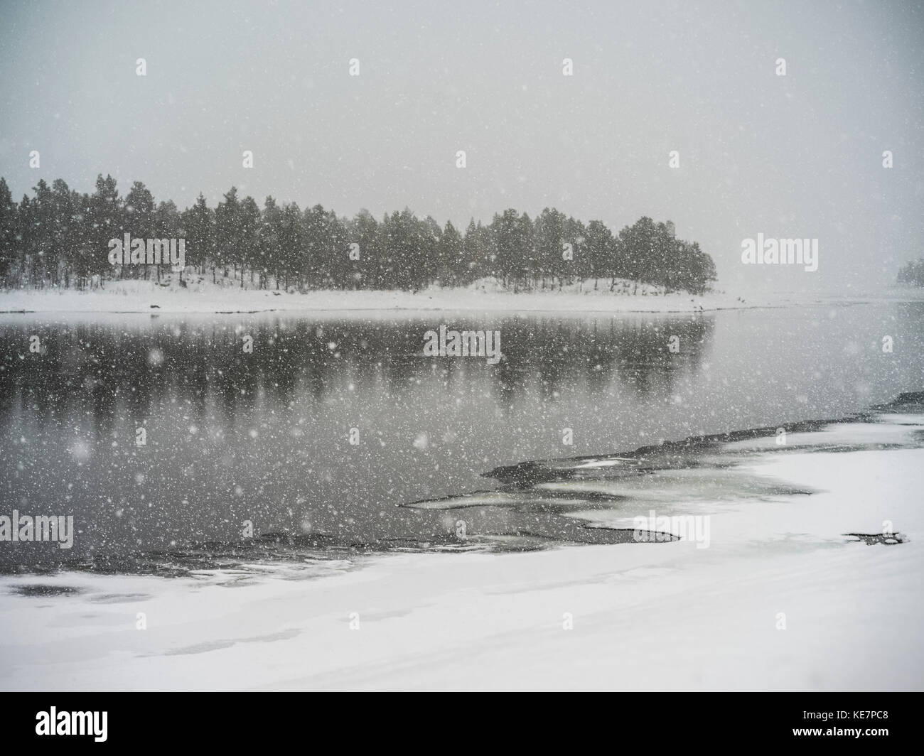 Snow Falling Over A Lake In Winter; Arjeplog, Norrbotten County, Sweden Stock Photo