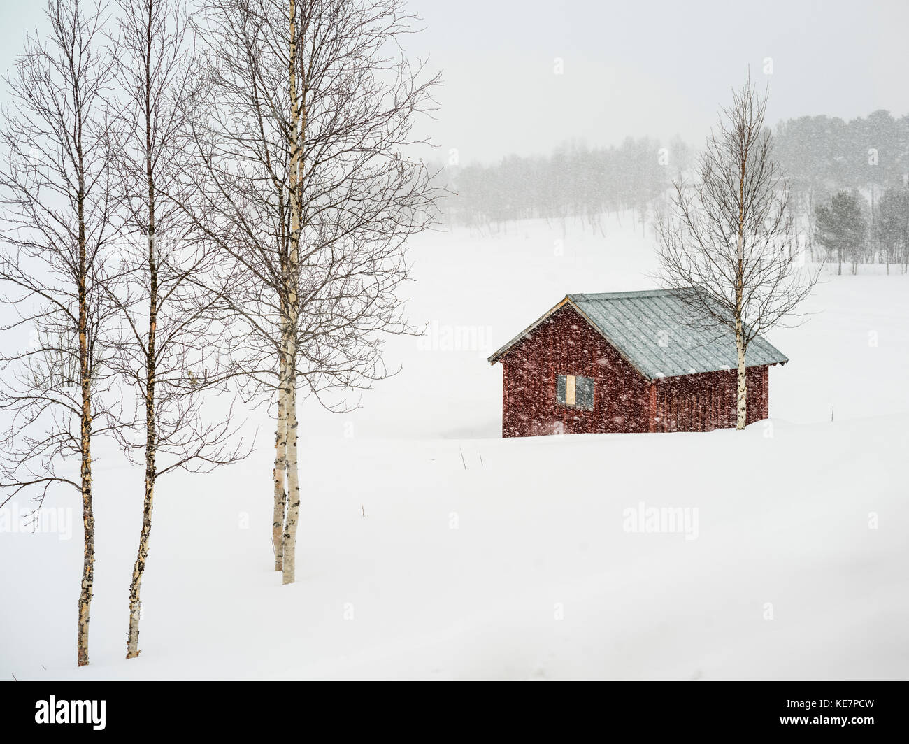 Snow Falling Over A Rural Landscape And Small Red Building Arjeplog Norrbotten County Sweden