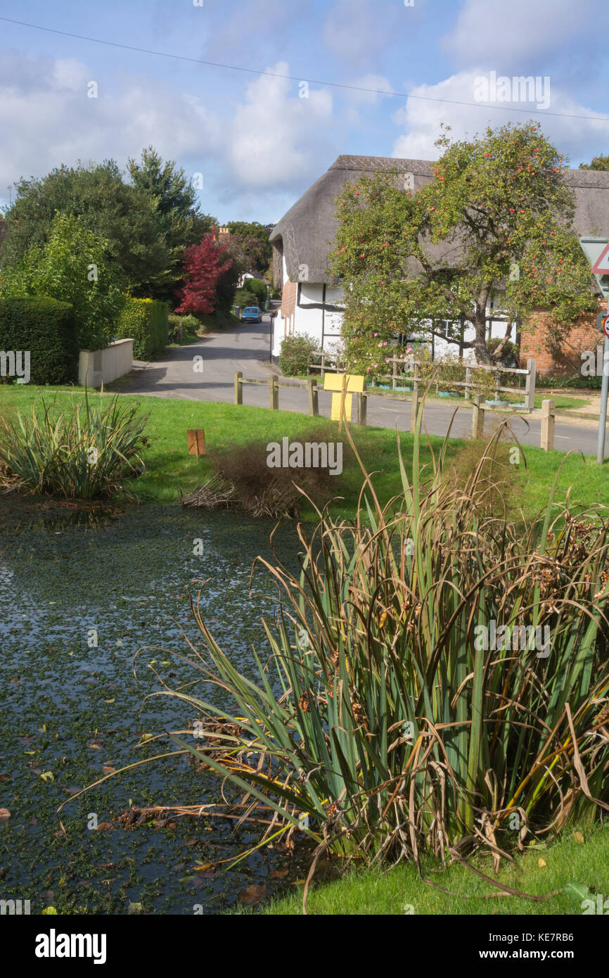 Upton Grey, a charming village in Hampshire, UK. Village pond and
