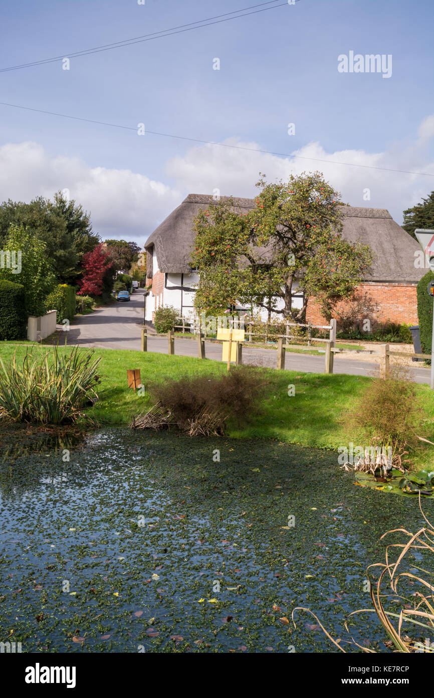 Upton Grey, a charming village in Hampshire, UK. Village pond and