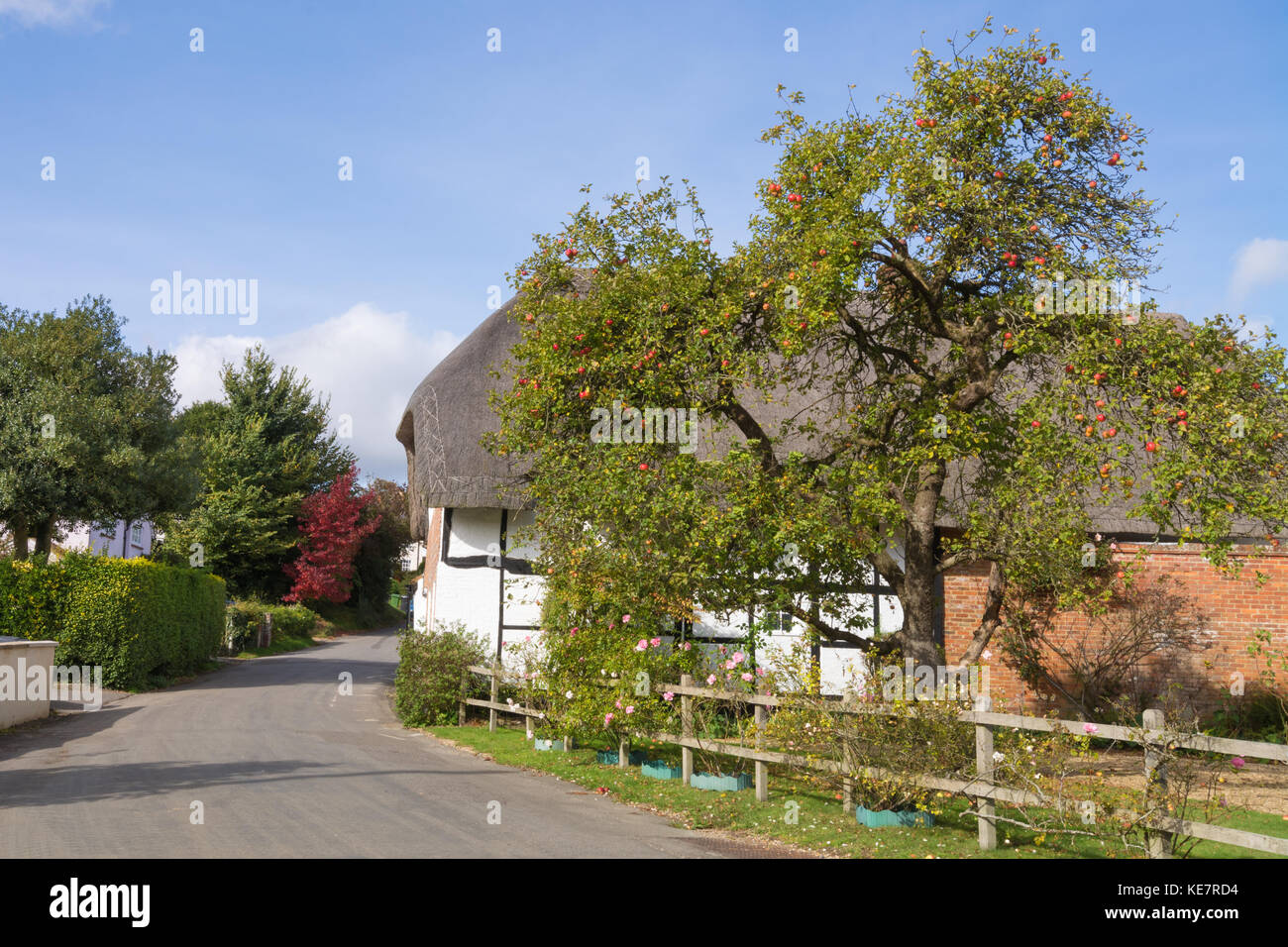 Pretty thatched cottage in Upton Grey, a charming village in Hampshire