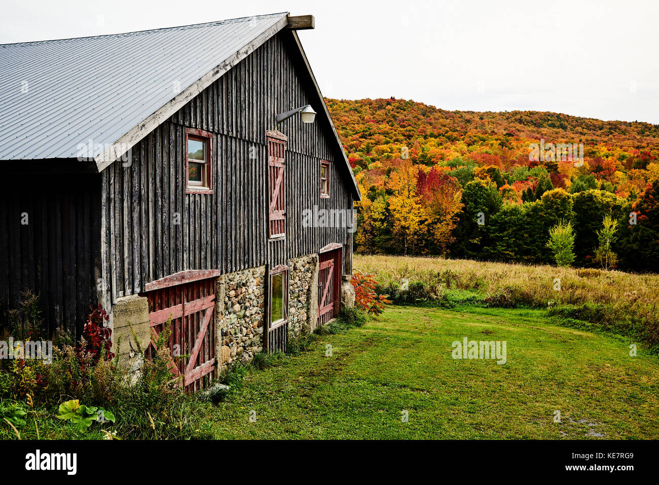 Barn With An Autumn Coloured Forest; Dunham, Quebec, Canada Stock Photo