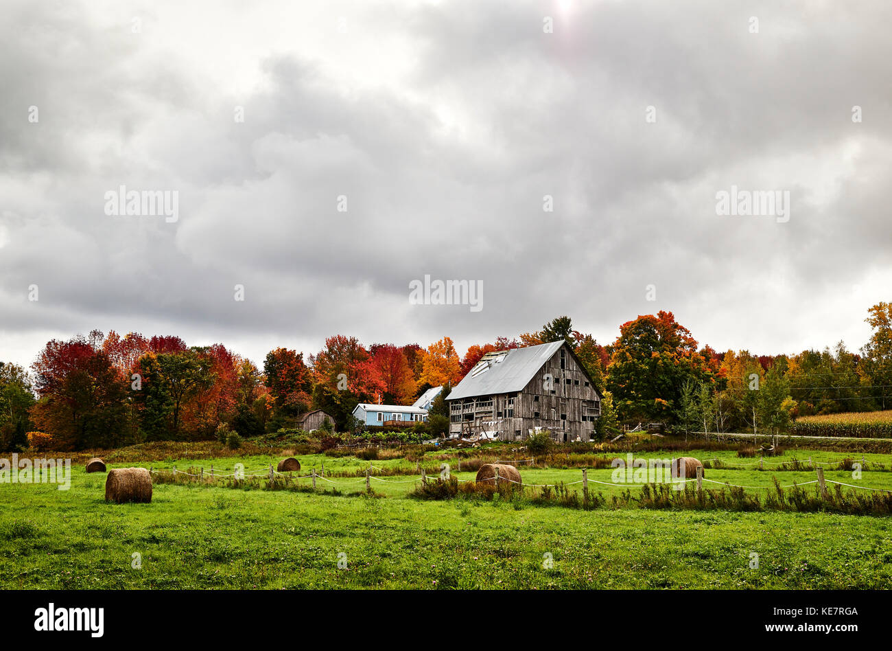 Barn And Hay Bales In A Field With An Autumn Coloured Forest; Dunham, Quebec, Canada Stock Photo