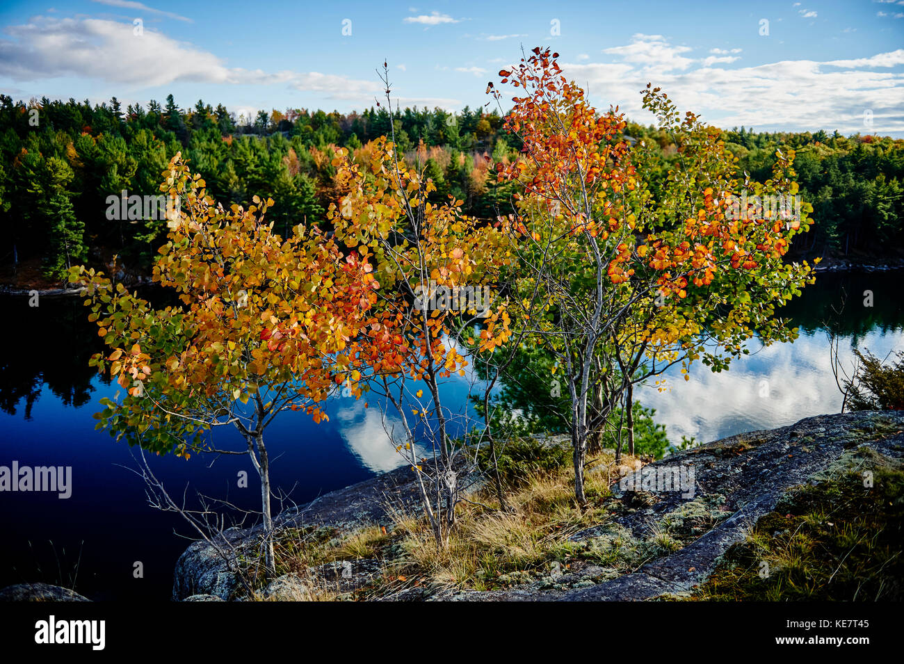 Ontario landscape image hi-res stock photography and images - Alamy