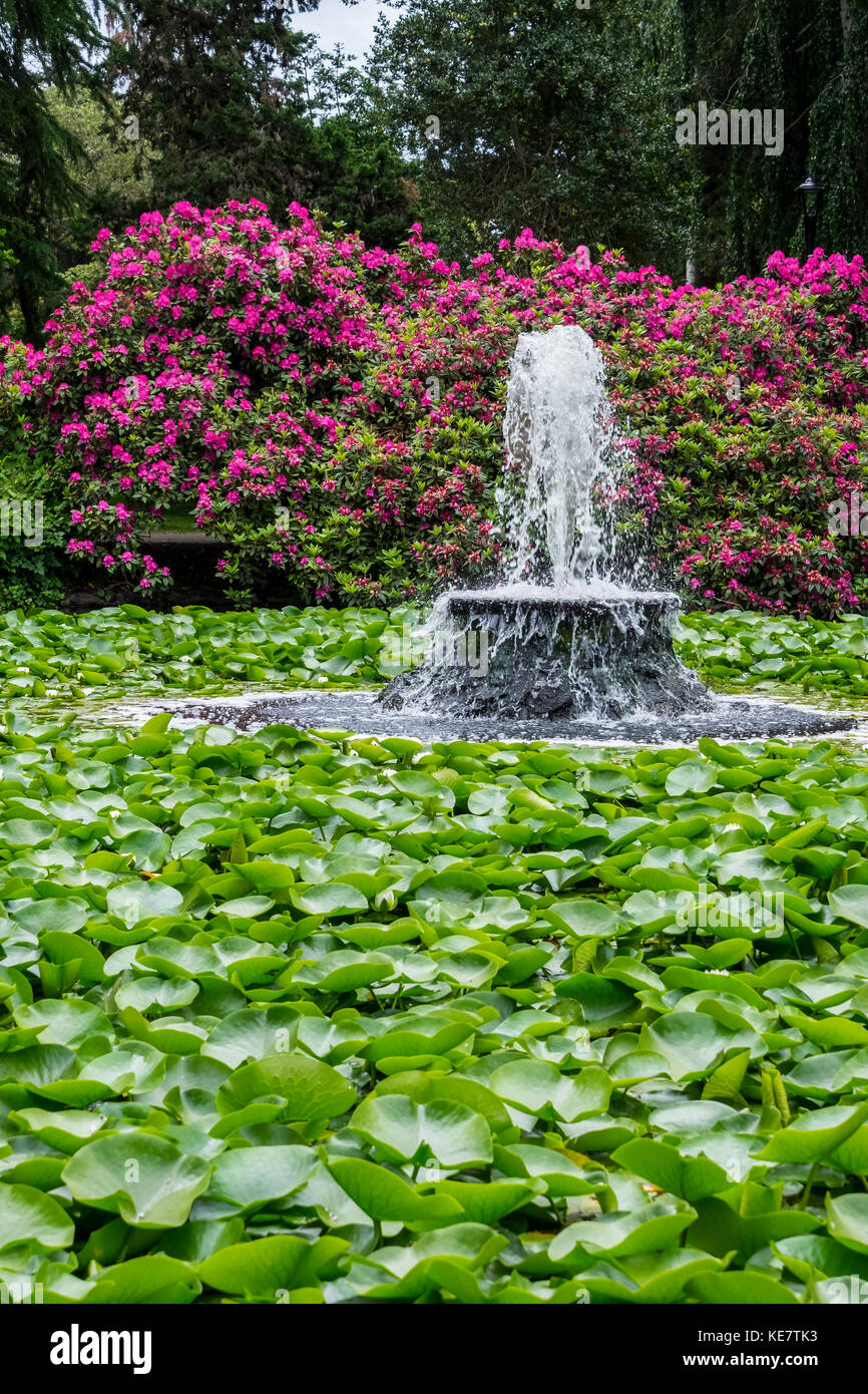Beacon hill park hires stock photography and images Alamy