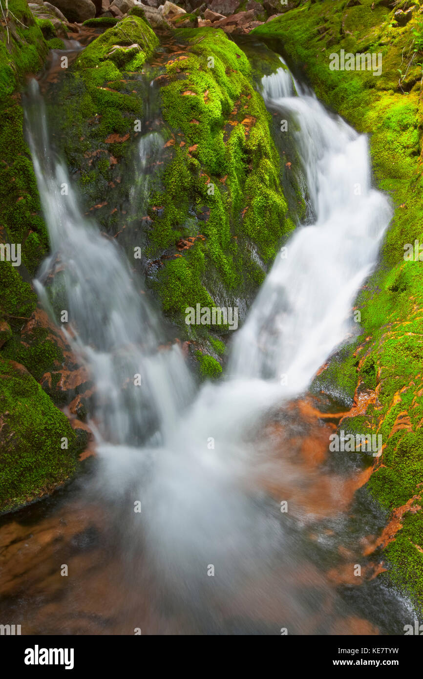 Waterfall On Big Brook, Kelly's Mountain; Cape Breton Island, Nova Scotia, Canada Stock Photo