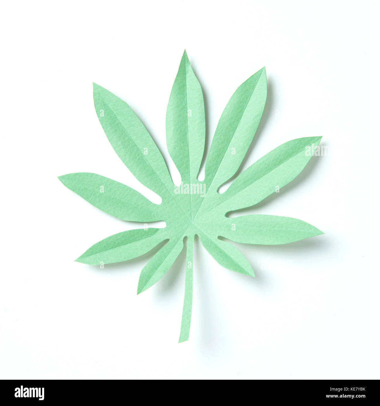 One green leaf, paper art Stock Photo - Alamy