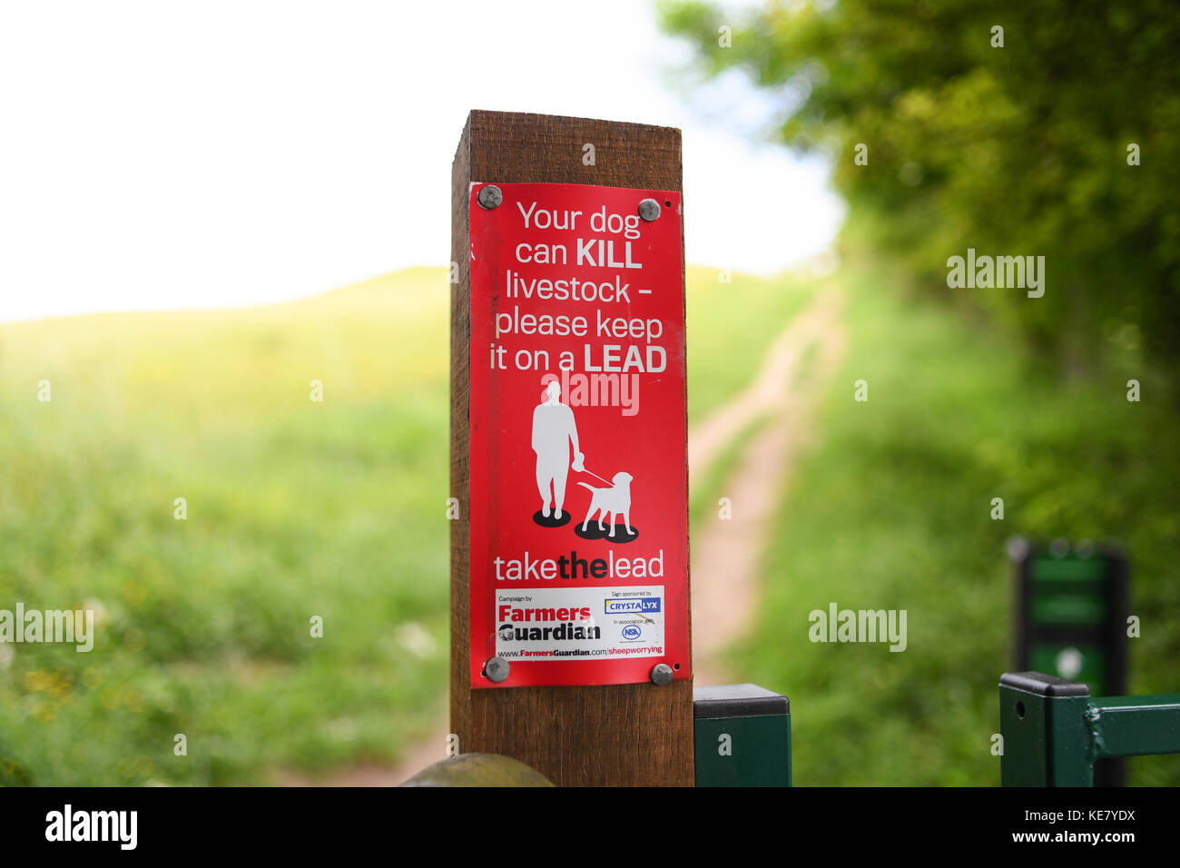Please keep dogs on lead sign warning of the dangers to livestock in farmers fields Stock Photo