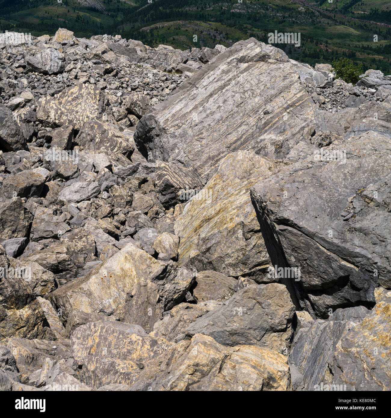 Large rock pieces from the Frank Slide in the Crowsnest Pass, a massive rockslide from Turtle mountain in 1903, burying the town of Frank Stock Photo