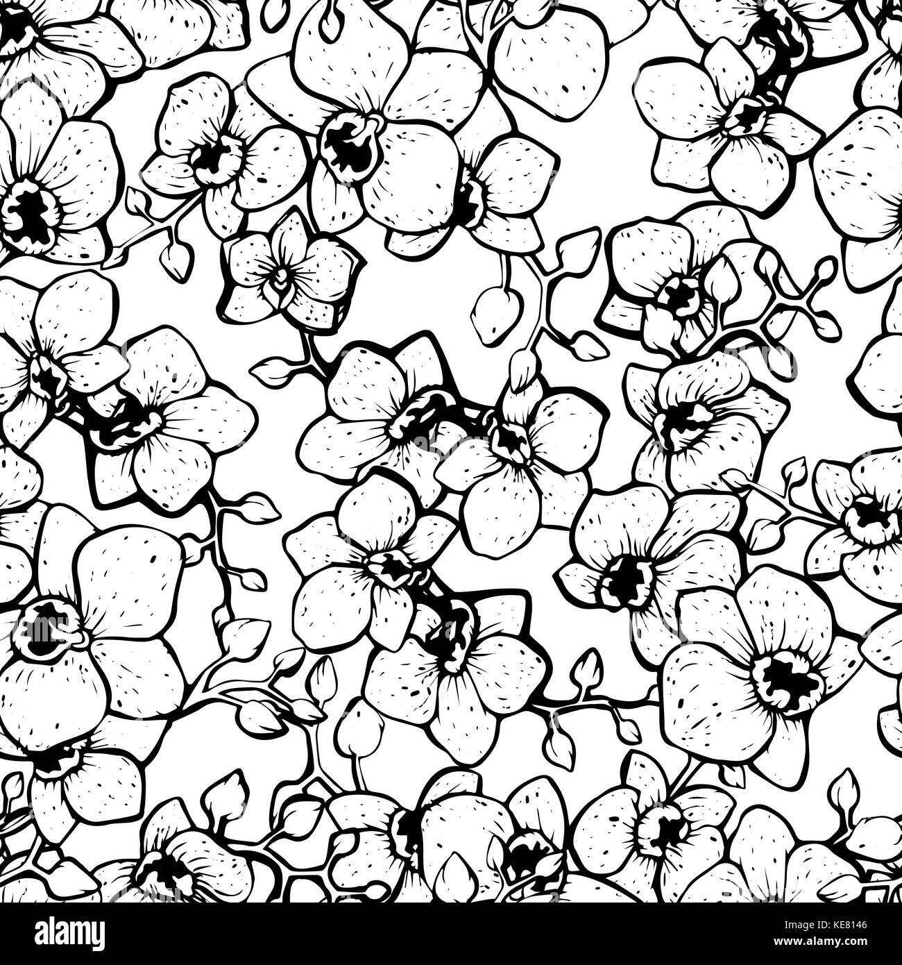 Floral seamless pattern with orchids, black and white isolated ...