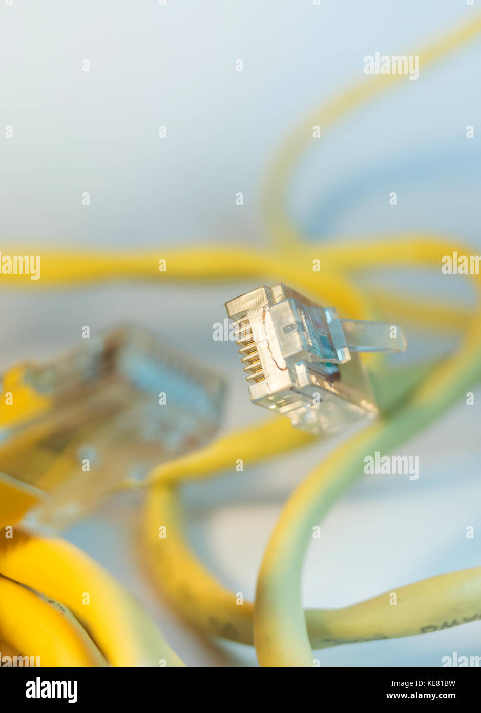 Yellow ethernet cable connector isolated Stock Photo