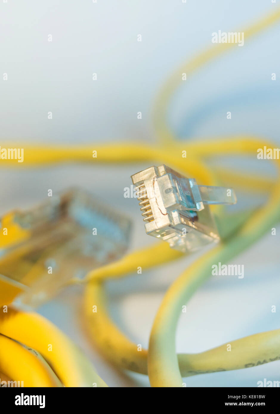 Yellow cable connector isolated Stock Photo Alamy