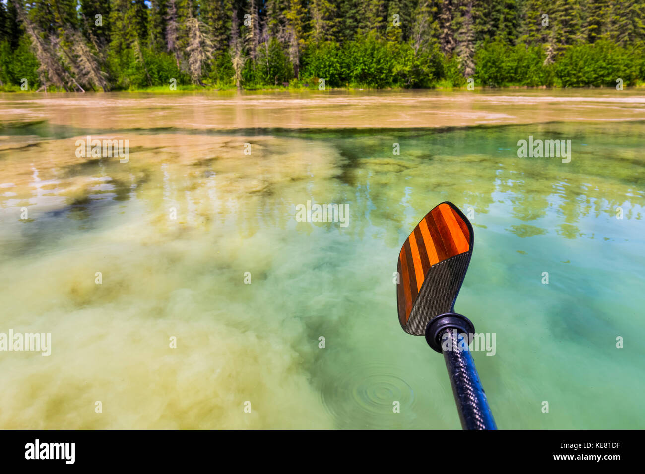 The silty water of the Tanana River meets the clear water of Clearwater