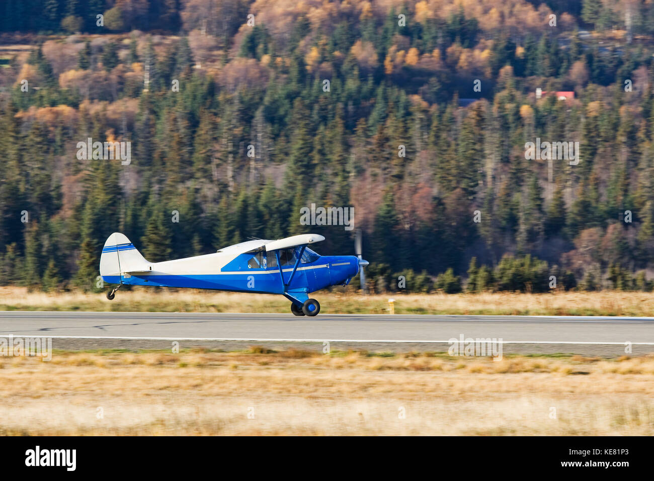 Swenson Myron B Pa-12 Super Cruiser, Homer Airport, Southcentral Alaska, USA Stock Photo