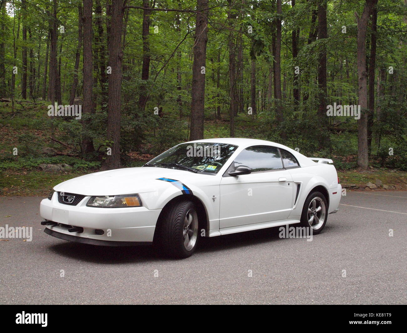 White Ford Mustang at Morris County Park in New Jersey showing blue and black law enforcement fender stripes Stock Photo