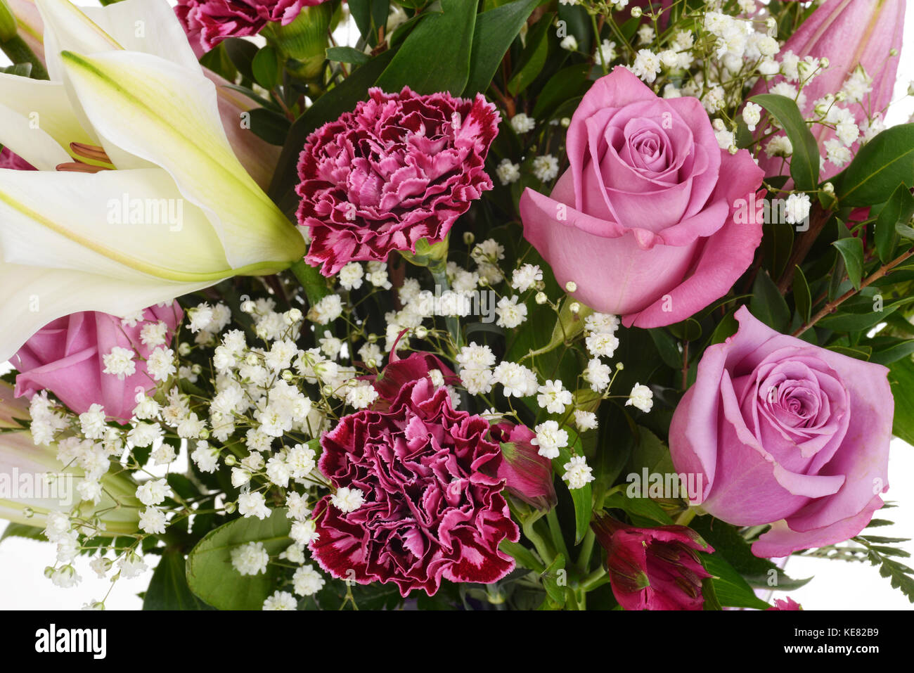 pink roses and carnations background Stock Photo - Alamy