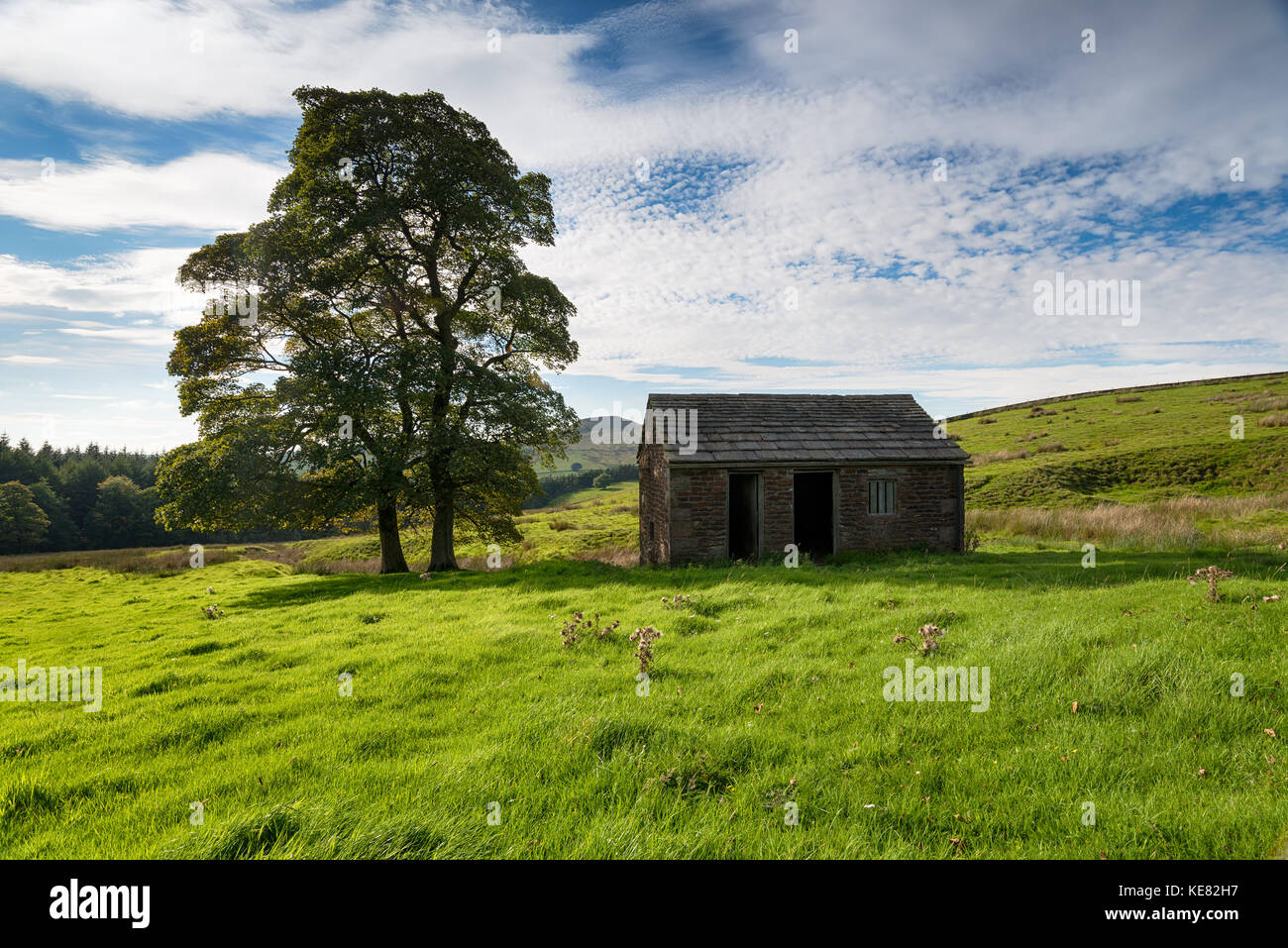 An old barn at Wildboarclough in the Cheshire Peak District Stock Photo