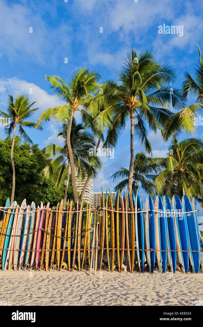 A rack of colourful surfboards lined up on Waikiki Beach; Honolulu