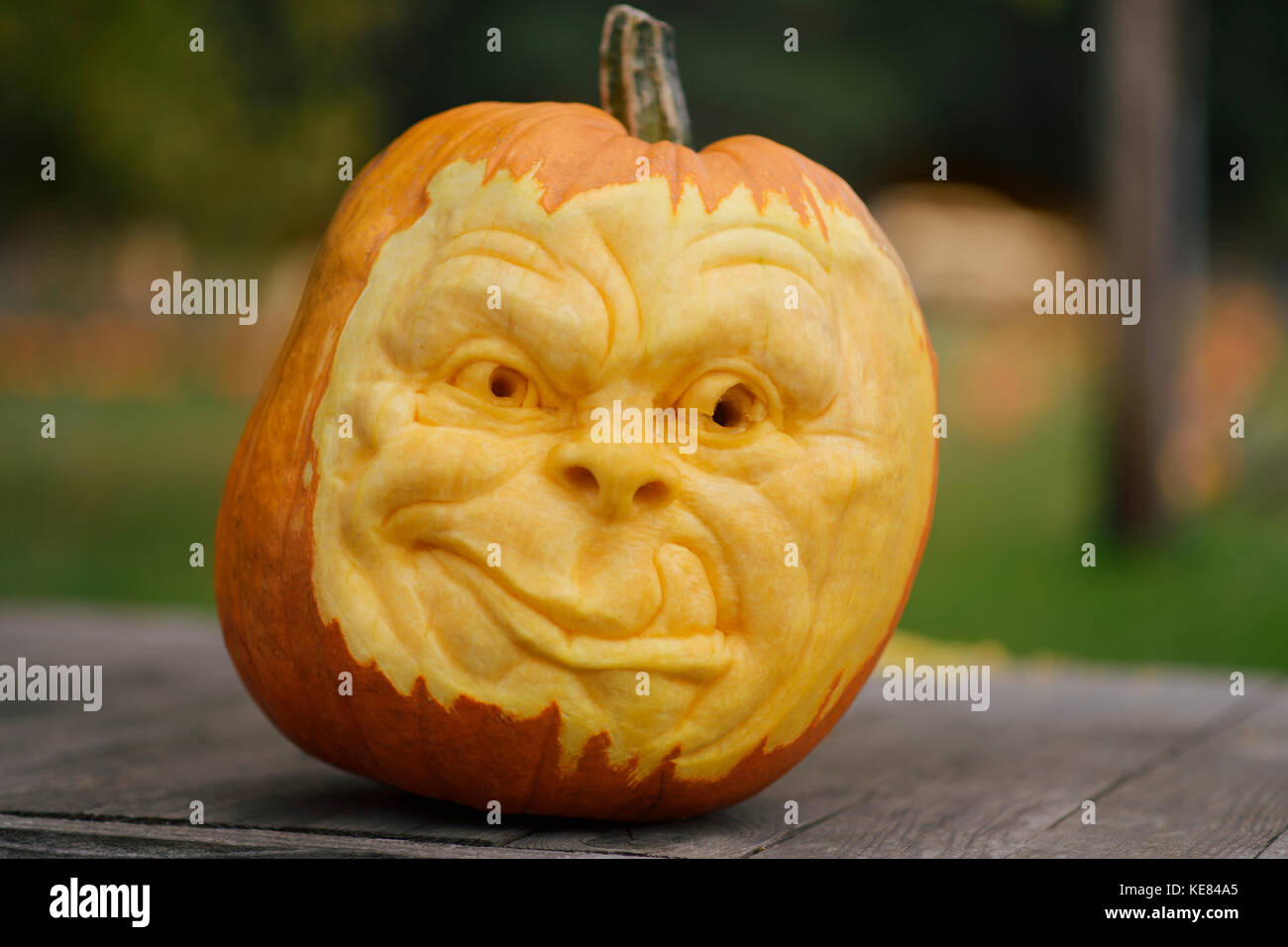 Artistically carved face in a pumpkin for Halloween decoration Stock ...