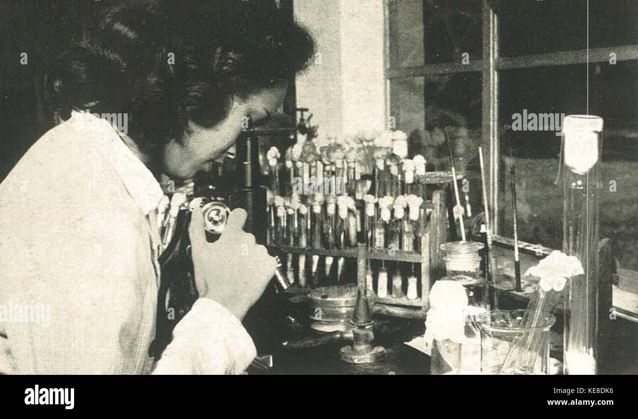 Woman working in lab, Wanita di Indonesia p96 (Ministry of Information ...