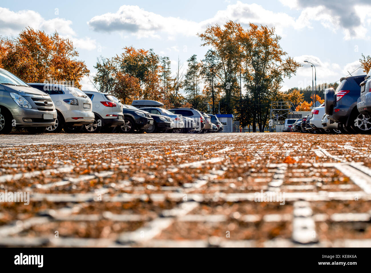 Tourists from different countries parked their cars in the parking lot