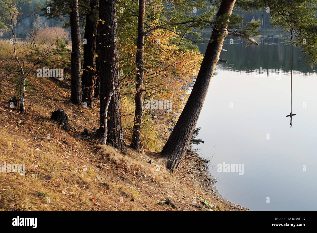 The shore of the forest lake in the autumn with a tarsar for jumping into the water Stock Photo