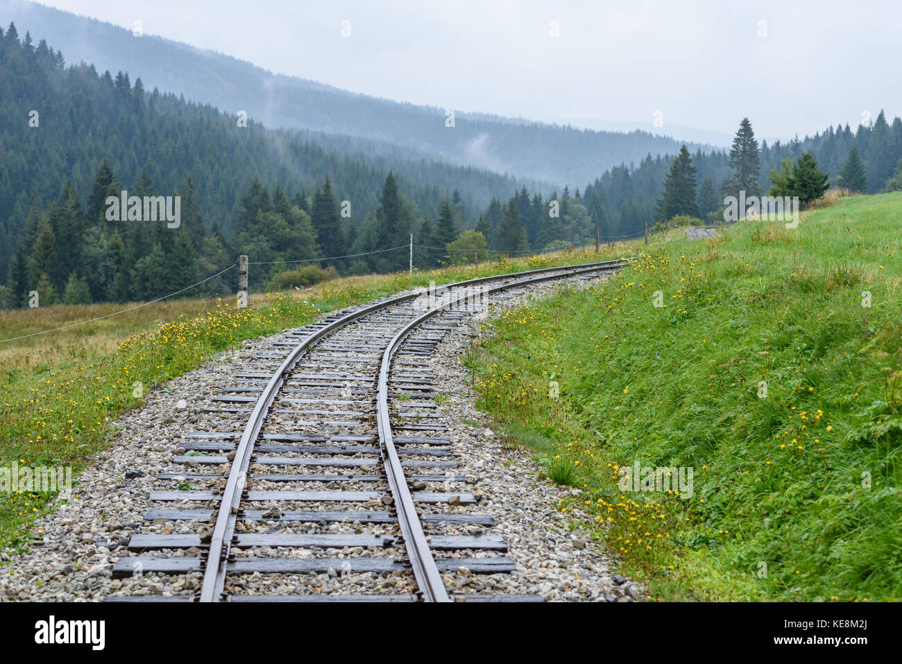 Wavy Train Track Rails wavy railroad tracks in wet summer day in forest with green meadow on ...