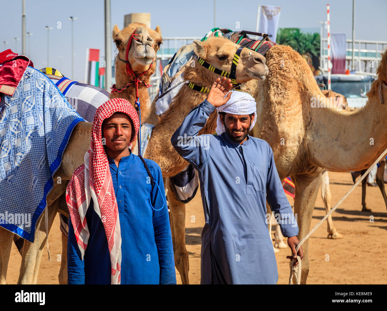 Dubai, United Arab Emirates - March 25, 2016: Camel handlers with their animals at Dubai Camel Racing Club Stock Photo
