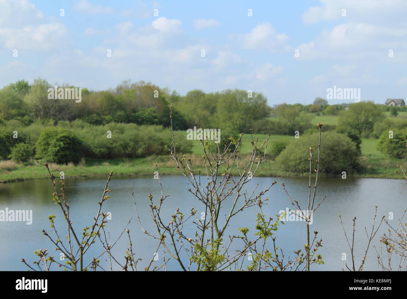Scenic view overlooking a lake on a sunny day, with white clouds in a blue sky and trees in the foreground  - Scotsmans Flash, Wigan, England Stock Photo