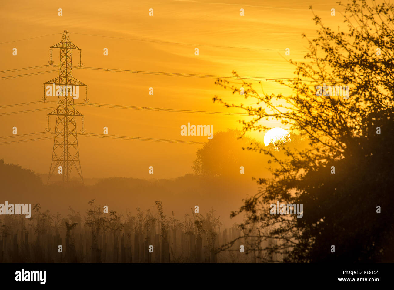 Orange Sunrise in Dorset with a Pylon in the distance Stock Photo