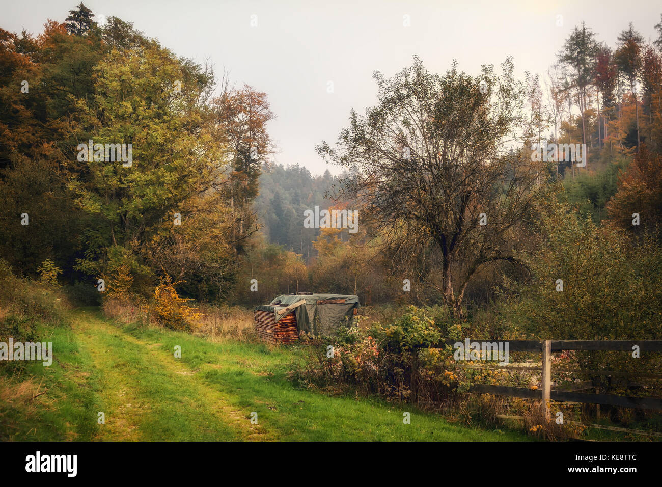 The beautiful colours of autumn at Munderfing, Austria. Stock Photo