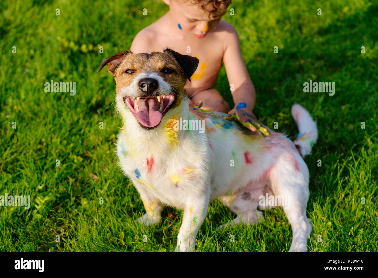Kid painting with fingers on happy domestic pet dog Stock Photo