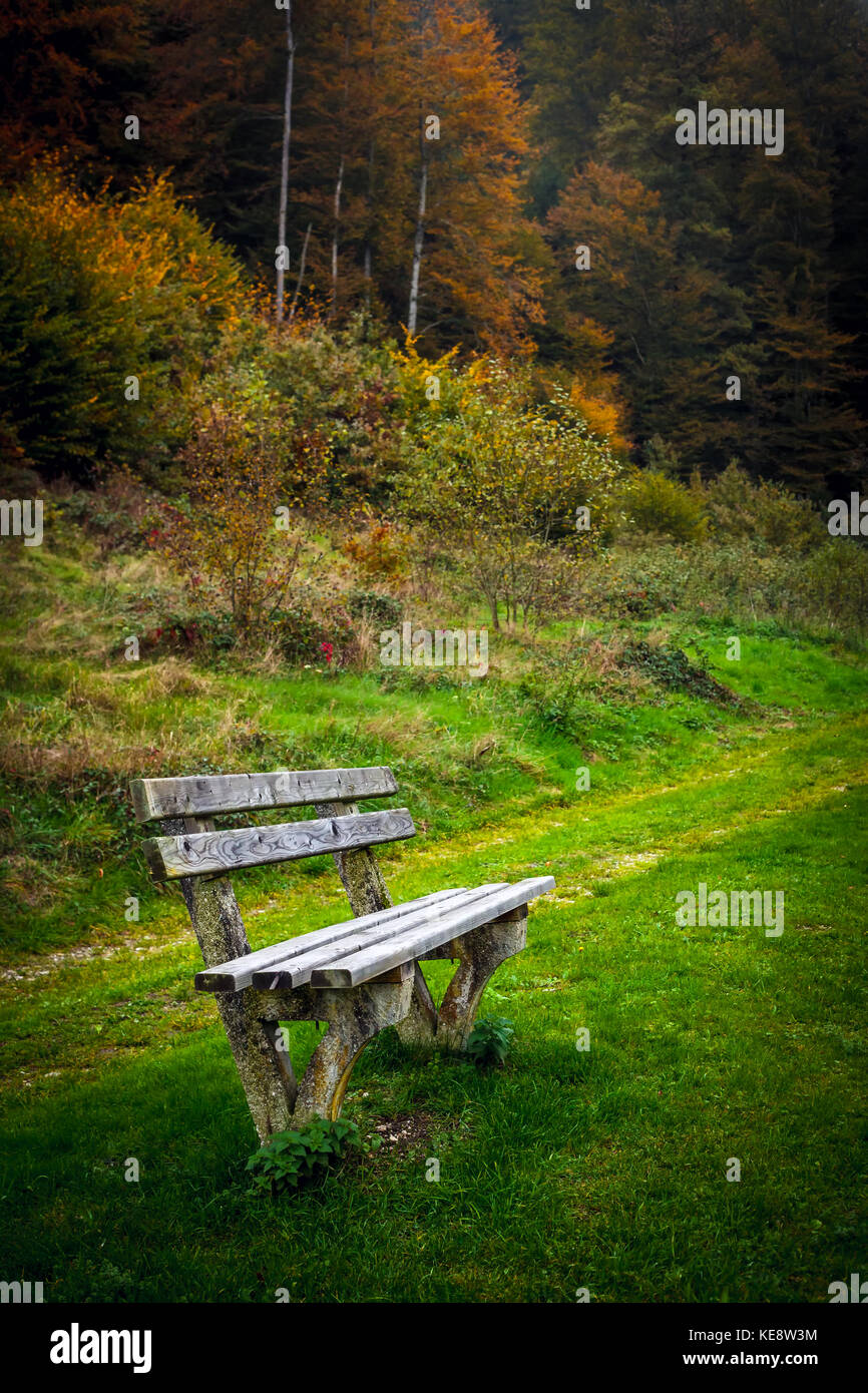 A lone old bench at Kobernausser Wald, the largest woodland area in Central Europe. Stock Photo