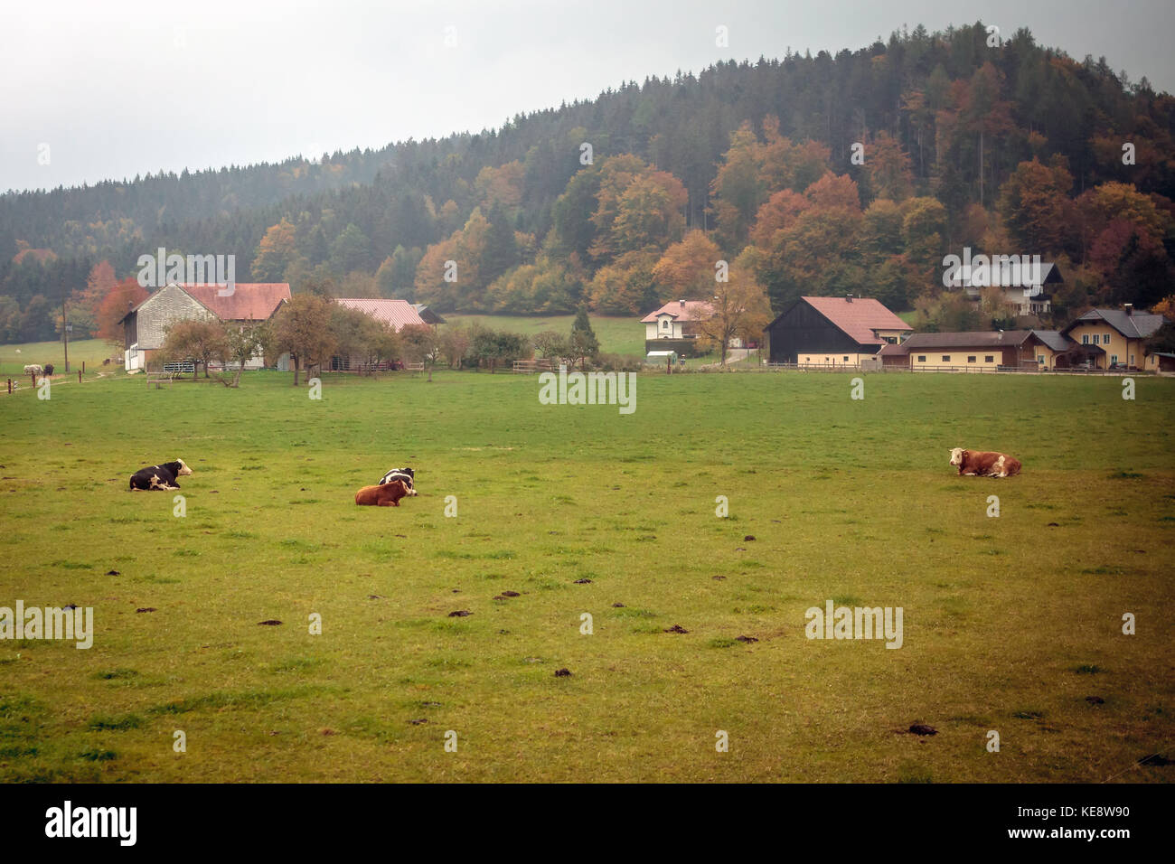A farm in Munderfing, Austria. Stock Photo