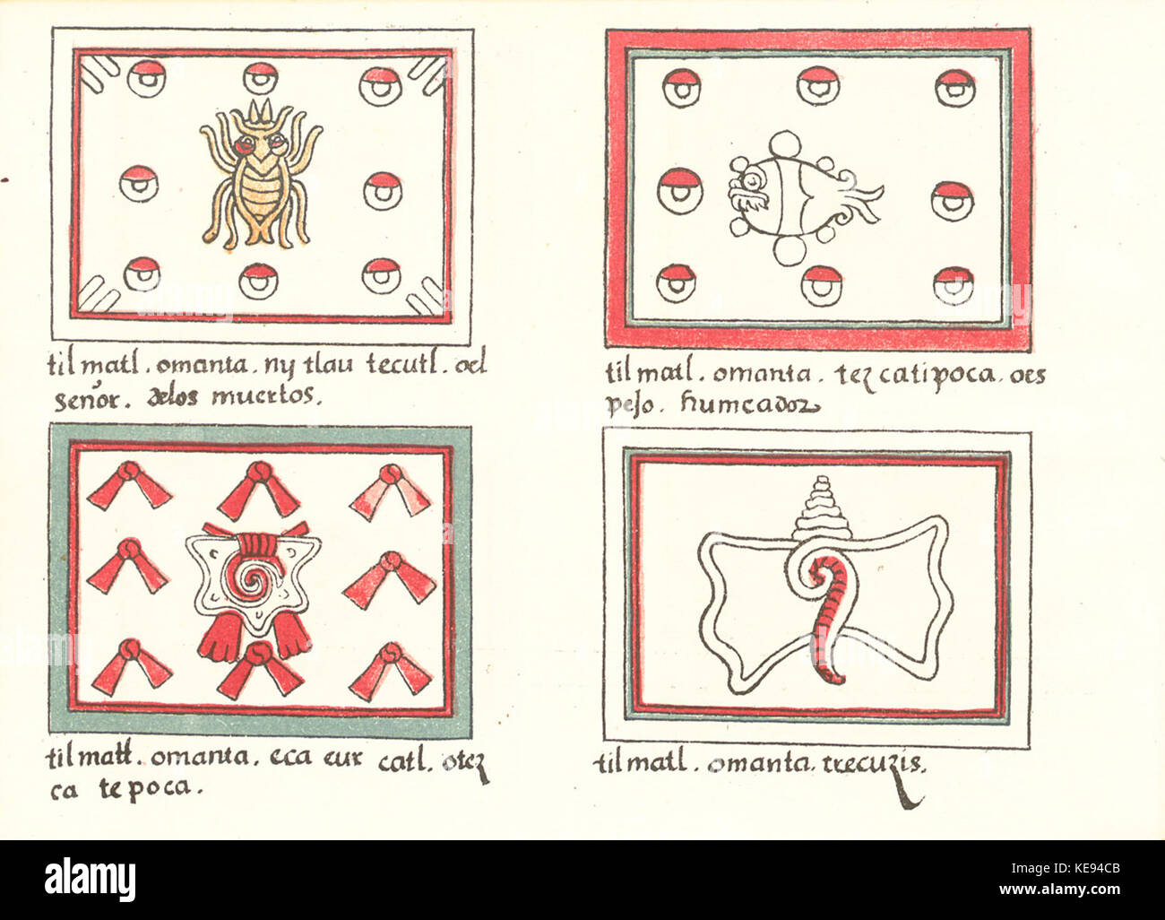 The *Codex Magliabechiano* is a manuscript containing rich ...