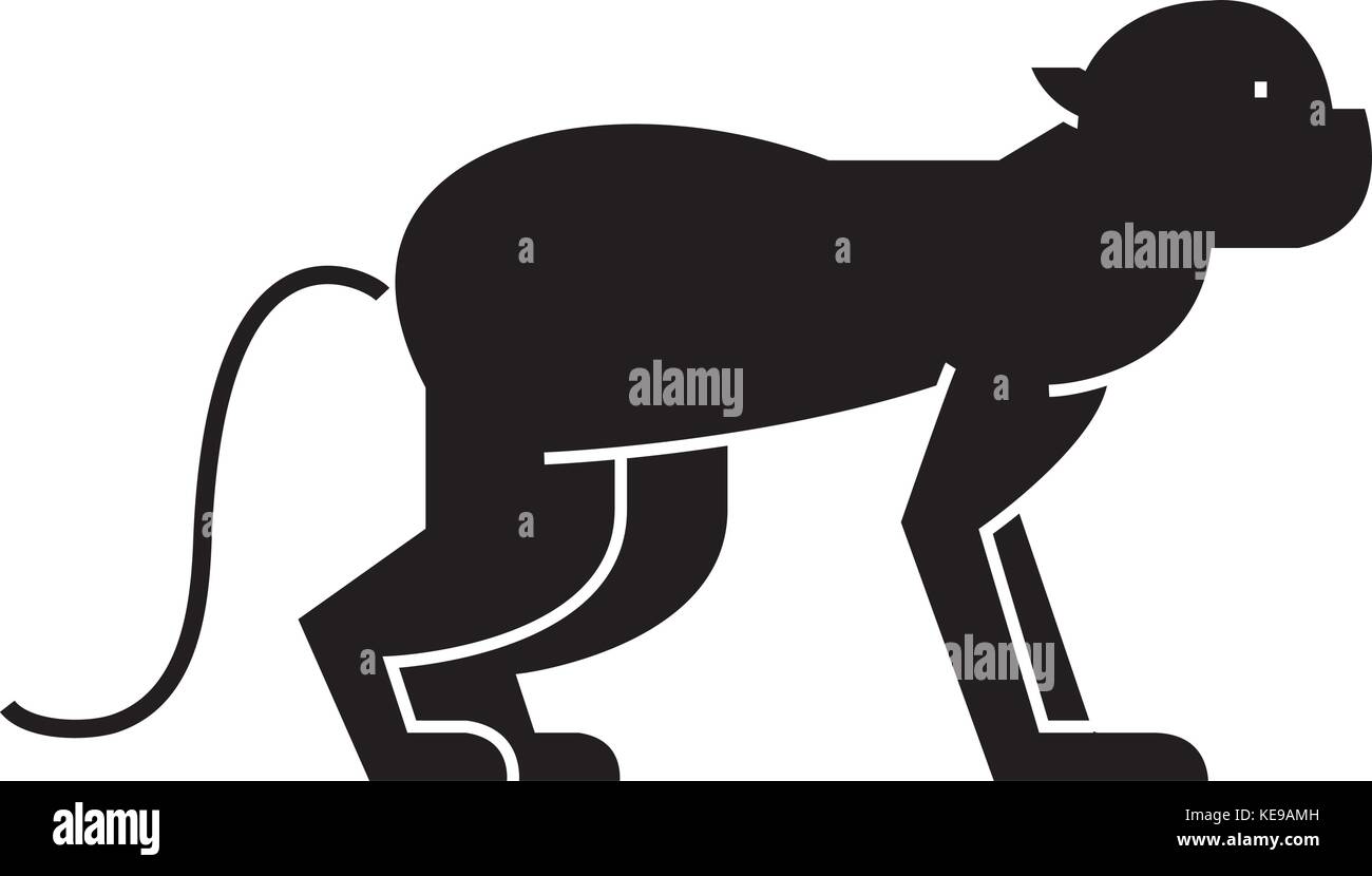 monkey icon, vector illustration, sign on isolated background Stock ...