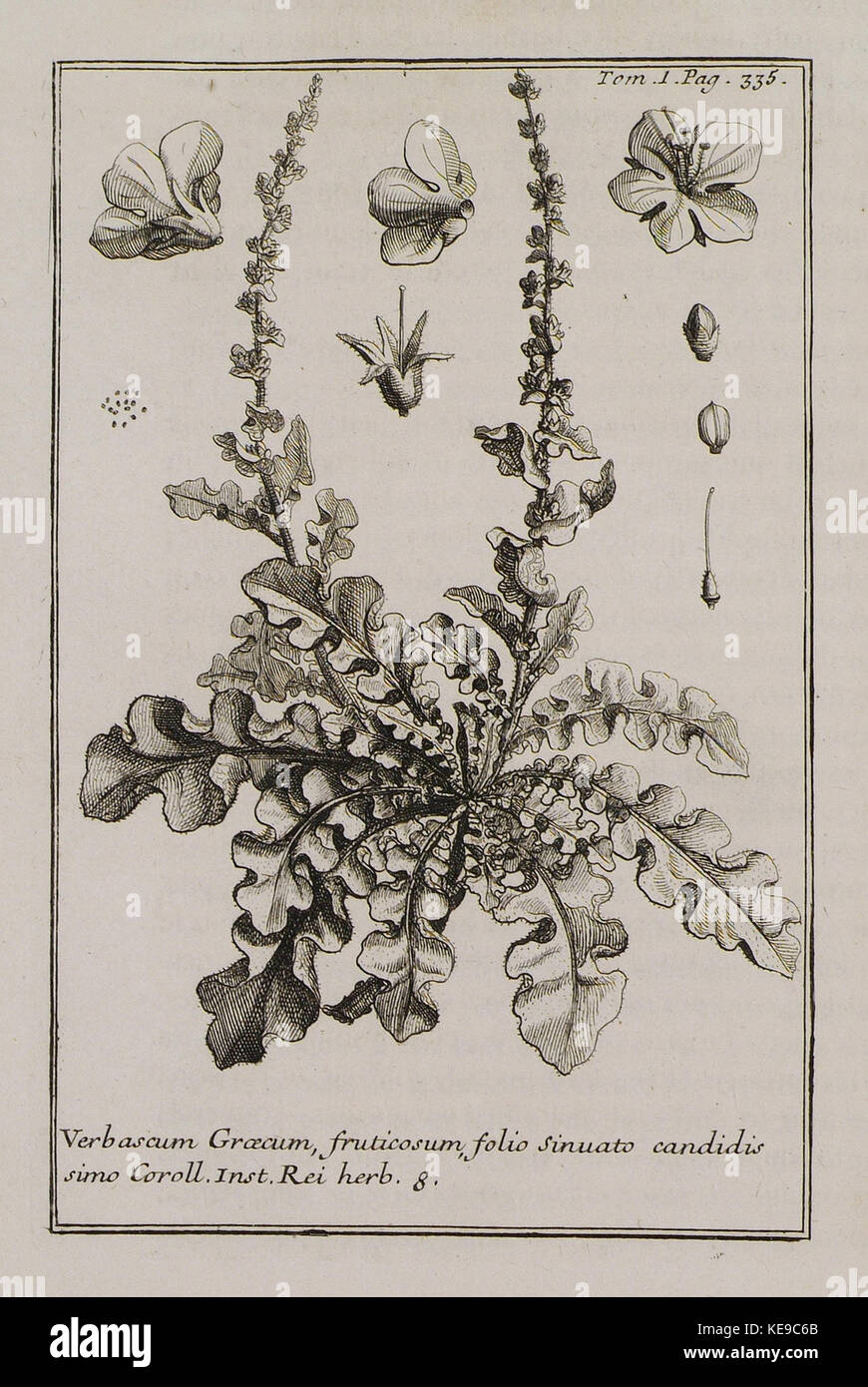 Joseph simo hi-res stock photography and images - Alamy
