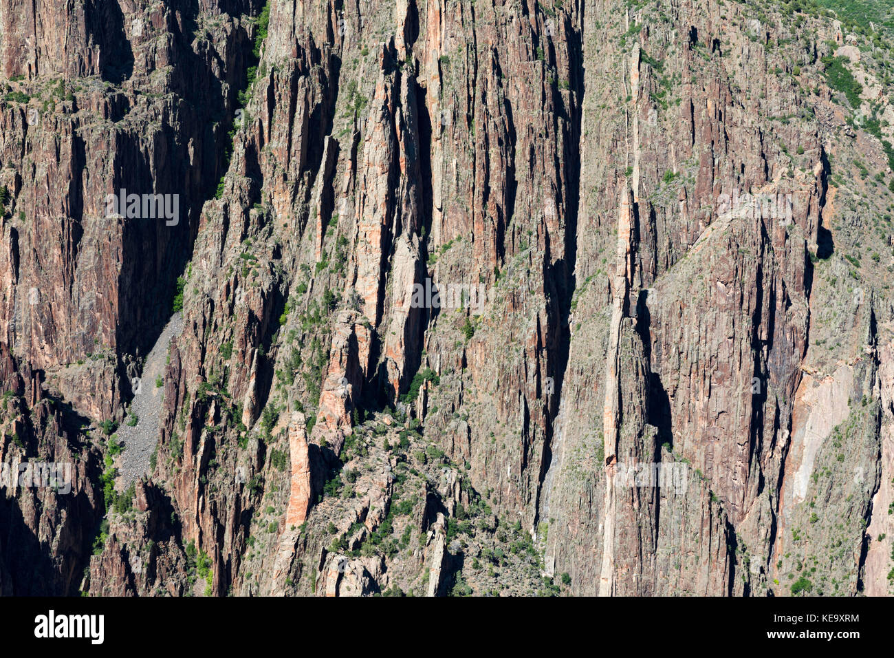 Close up of canyon wall showing exposed precambrian gneiss, schist and pegmatite dikes, Black Canyon of the Gunnison National Park, Colorado, USA Stock Photo
