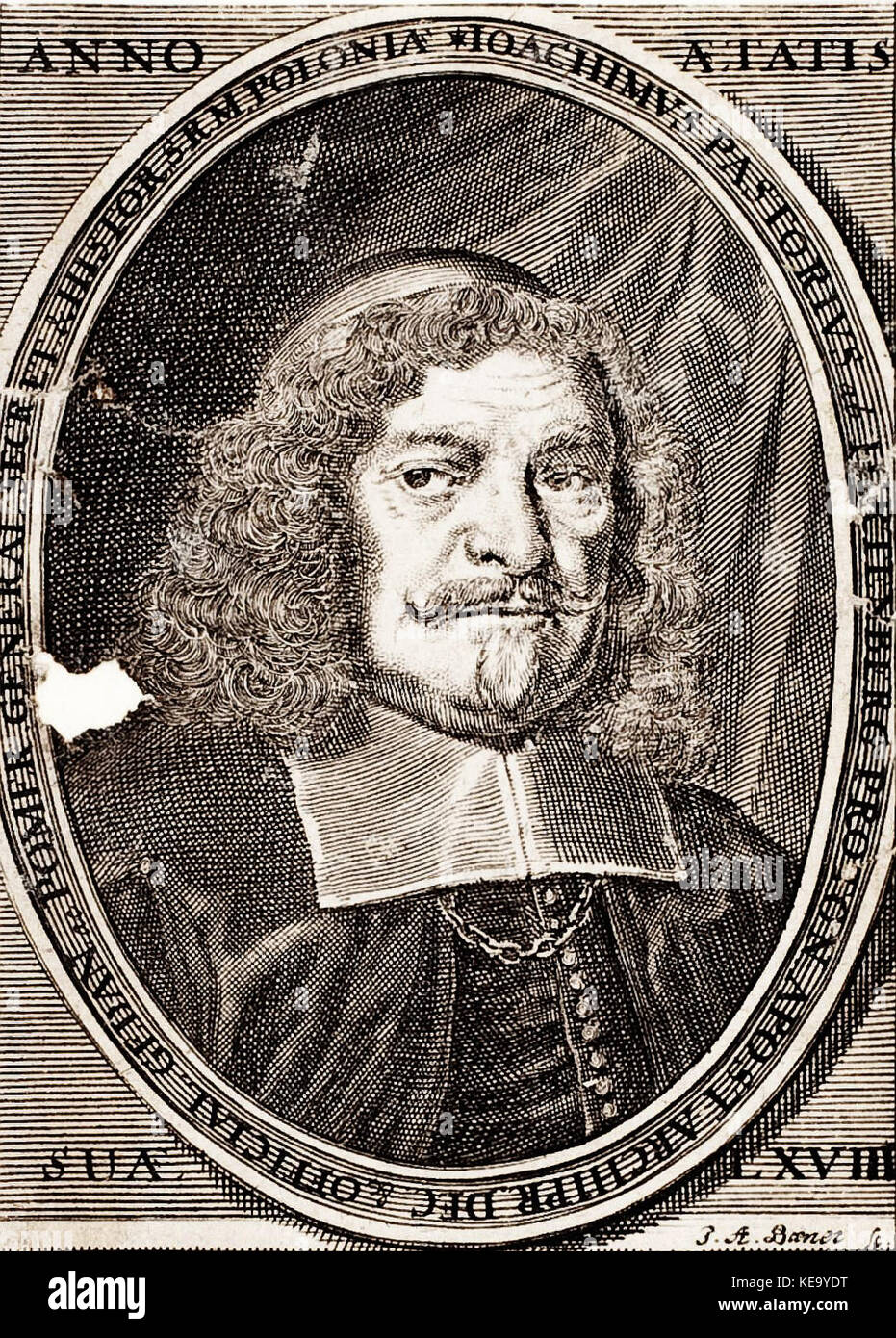 Joachim pastorius hires stock photography and images Alamy