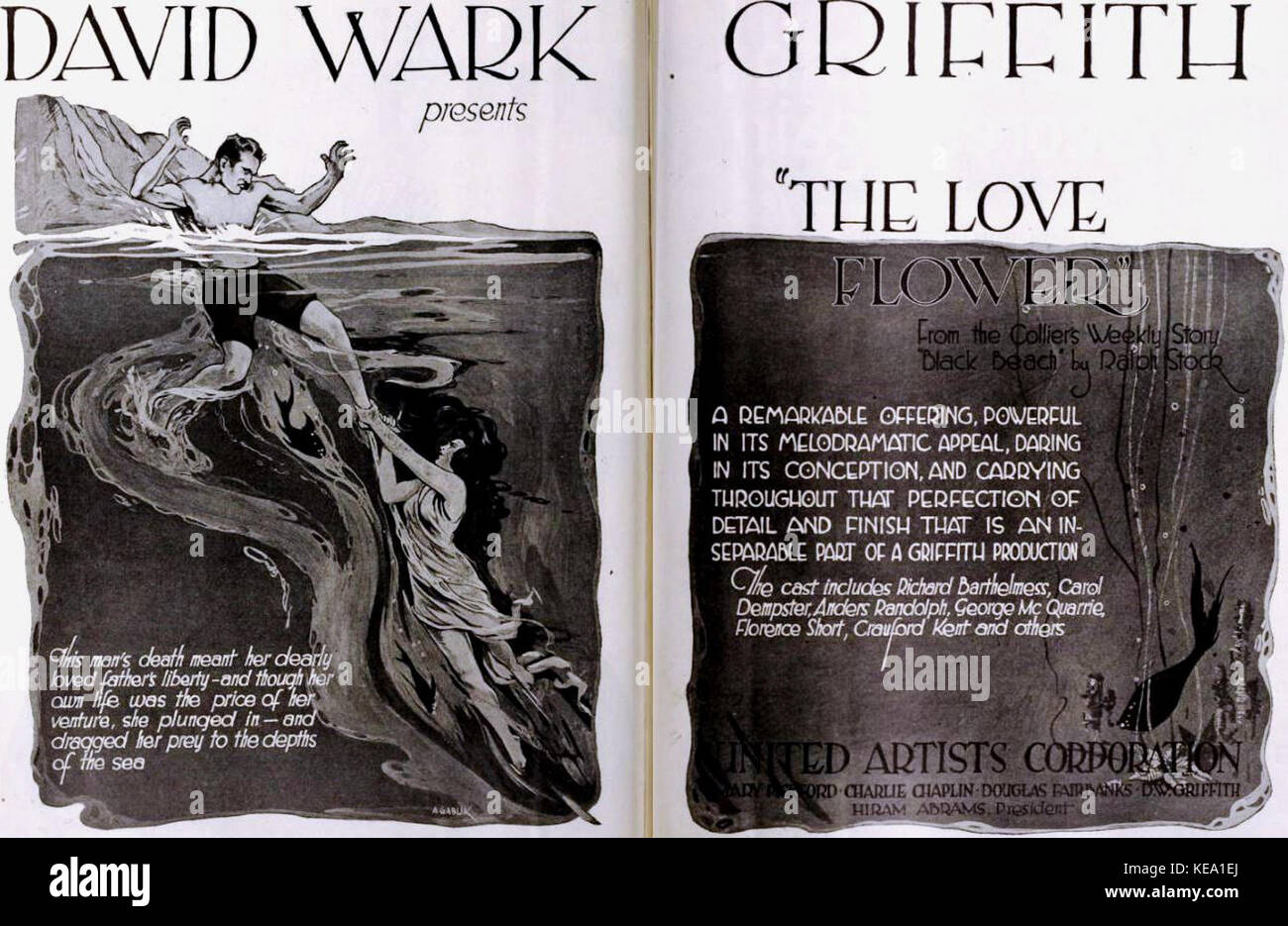 The Love Flower (1920) 10 Stock Photo Alamy