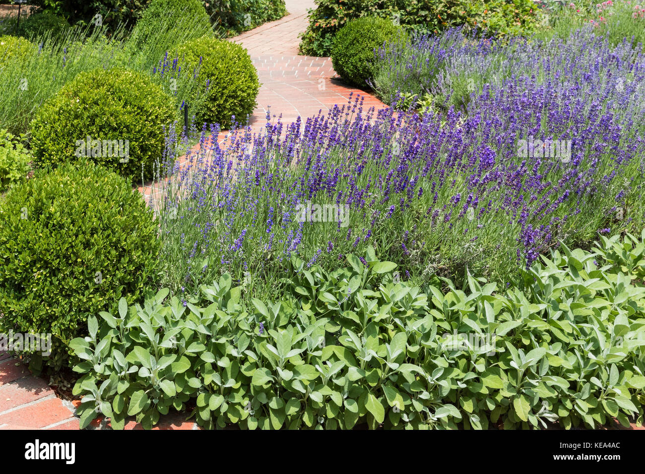 Denver Botanic Garden High Resolution Stock Photography and Images Alamy