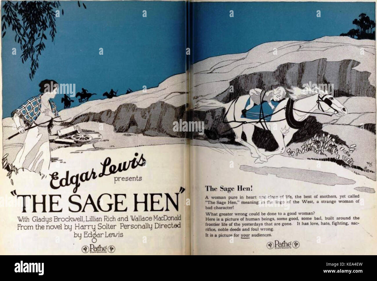 Sage hen hires stock photography and images Alamy